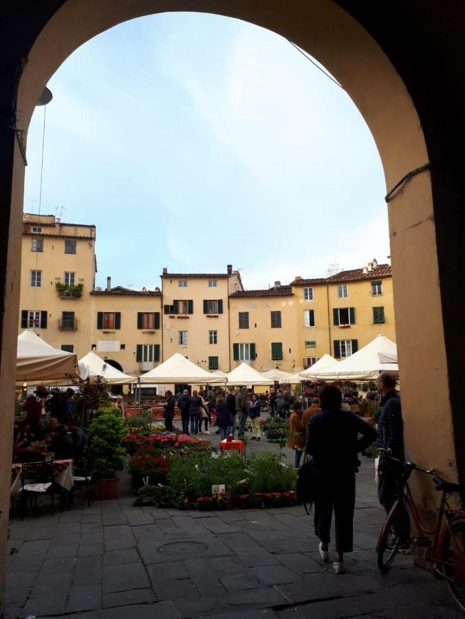 Hotel La Dimora Nell'Anfiteatro à Lucques Extérieur photo